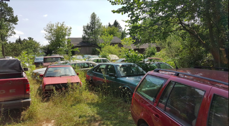 Illustration for article titled One Year Later, Michigan Man Ordered to Sell 20 Cars a Month Is Out 160 Cars but Remains Upbeat